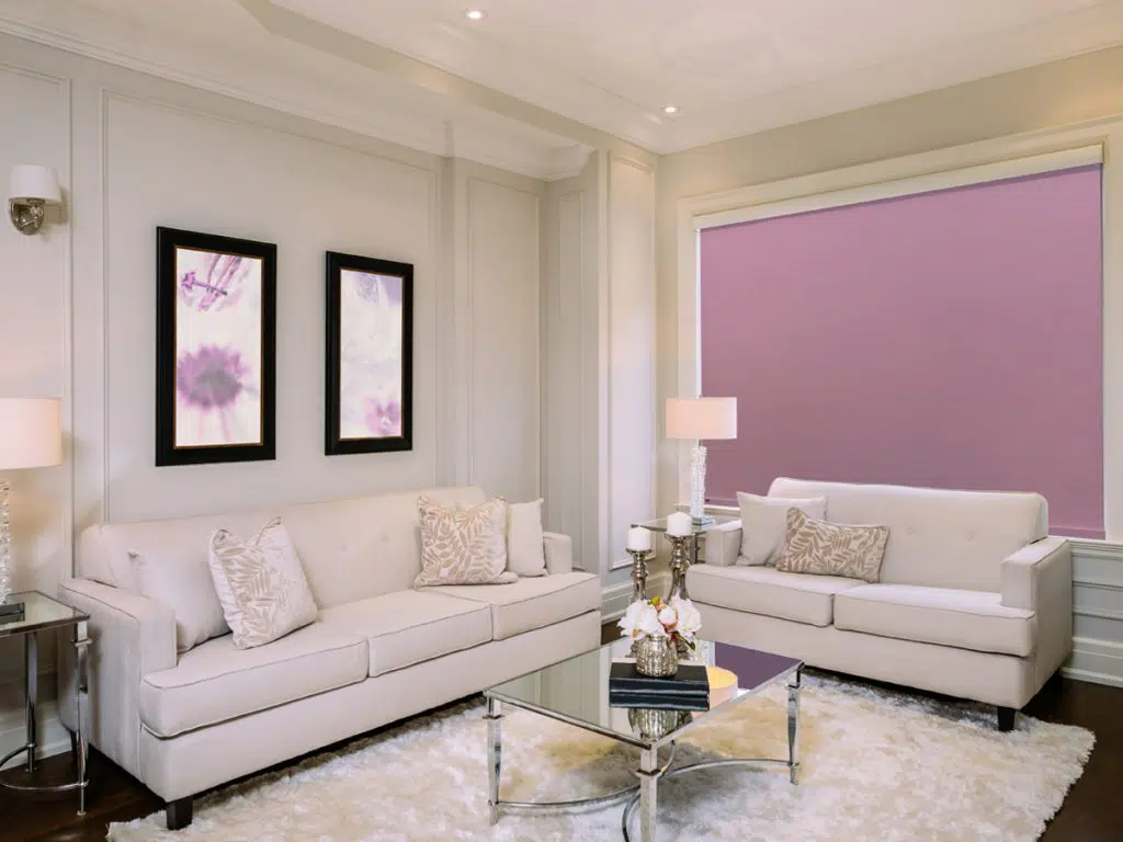 Purple Color